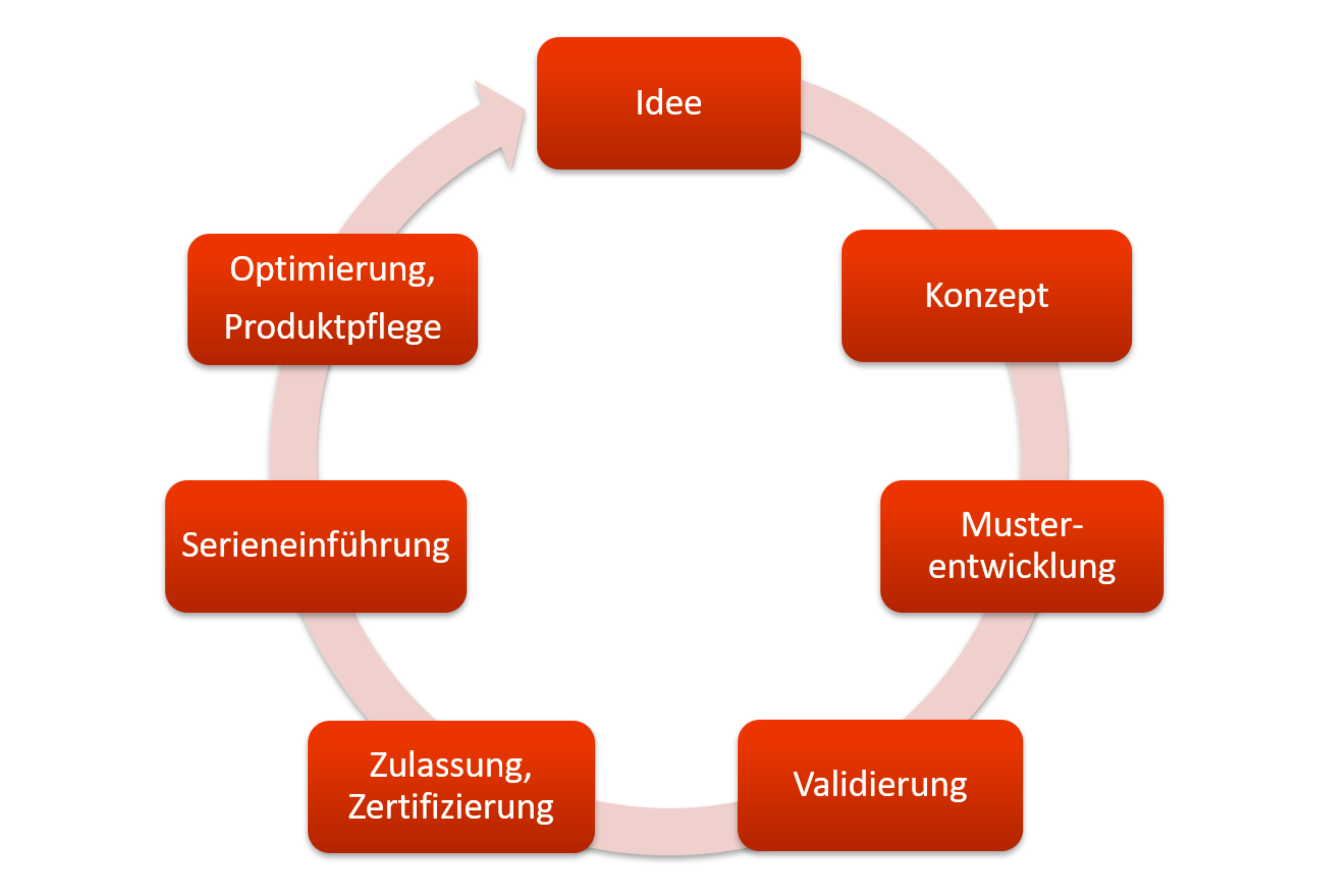 Entwicklung